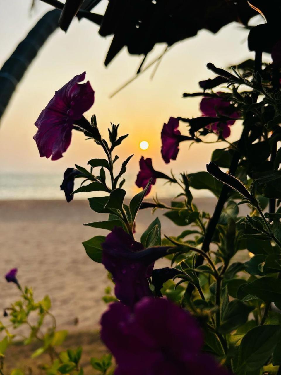 Ocean Of Life Ayurveda Hotel Индурува Экстерьер фото